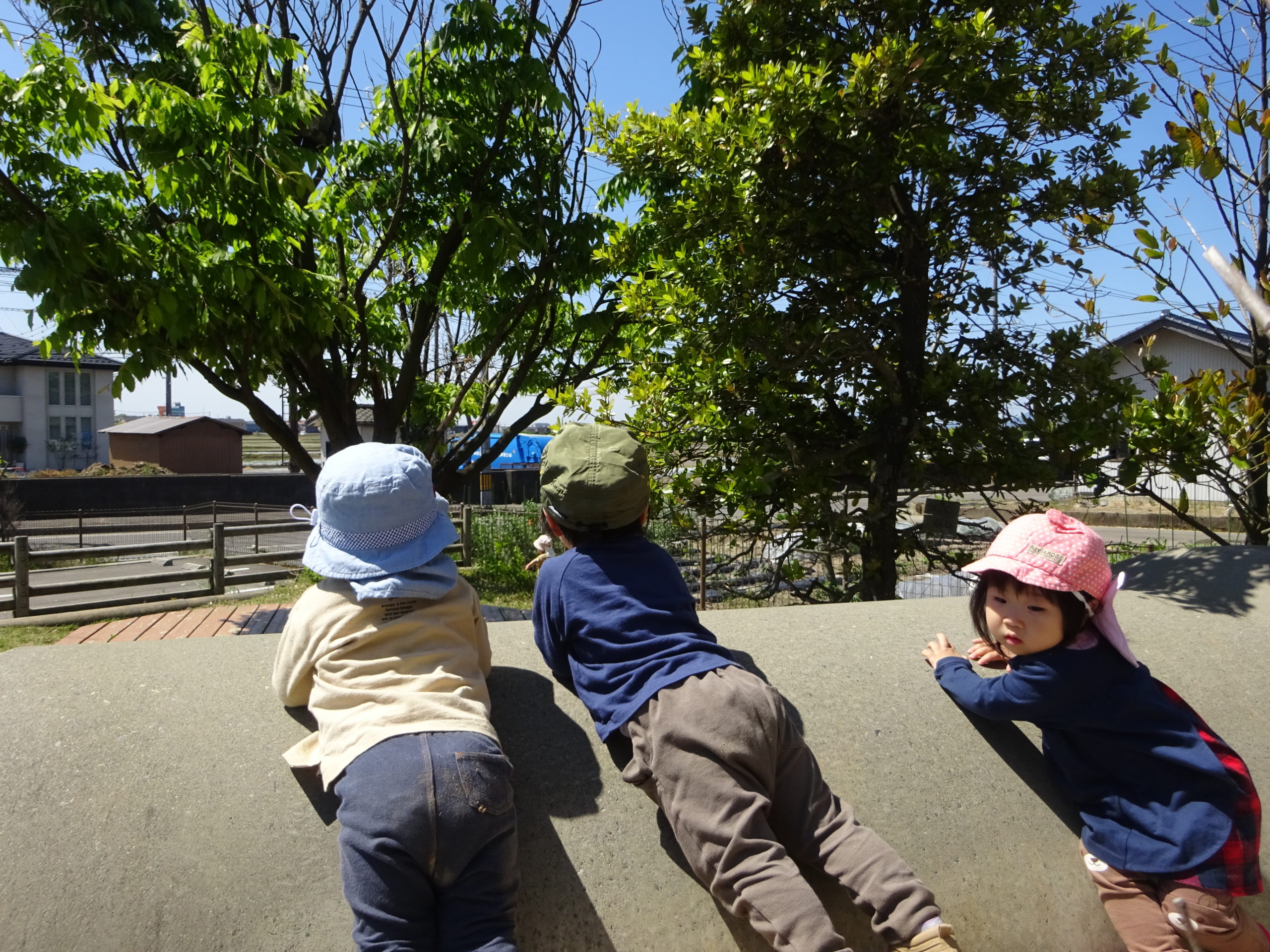 😊遊コスモス小新保育園「１歳児 元気いっぱい！園庭遊び🌞」
