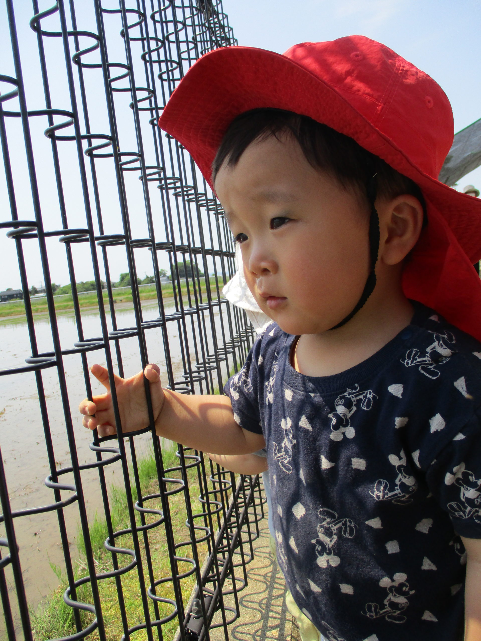 お外遊び楽しいね‼【白根そよ風保育園 つぼみ組】