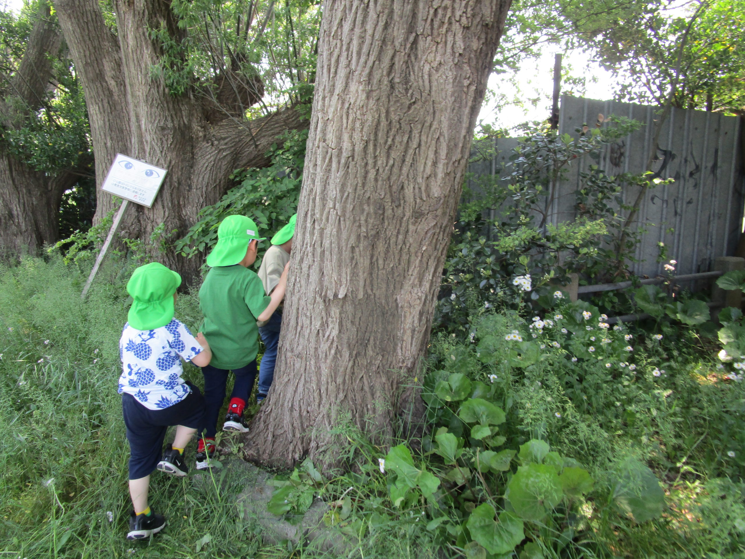 😊遊コスモス小新保育園「４歳児つき組🌙今日のつき組さん」