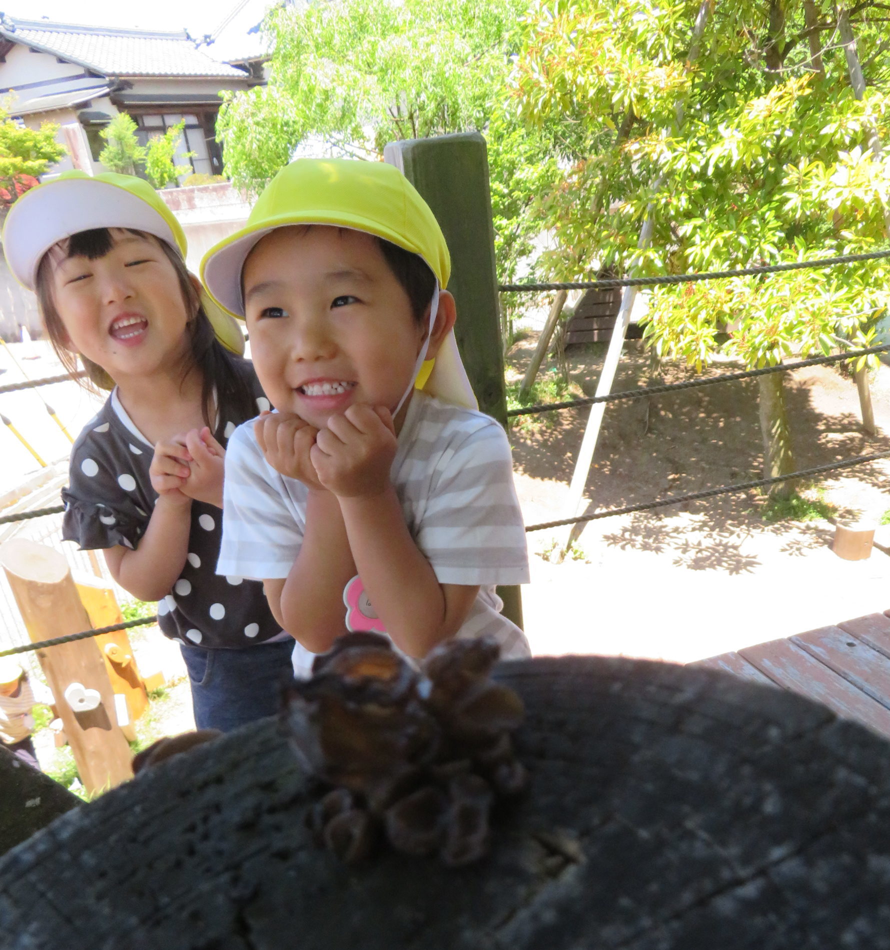 😊遊コスモス小新保育園「🌈3歳児 Mushroom🍄⁉️」