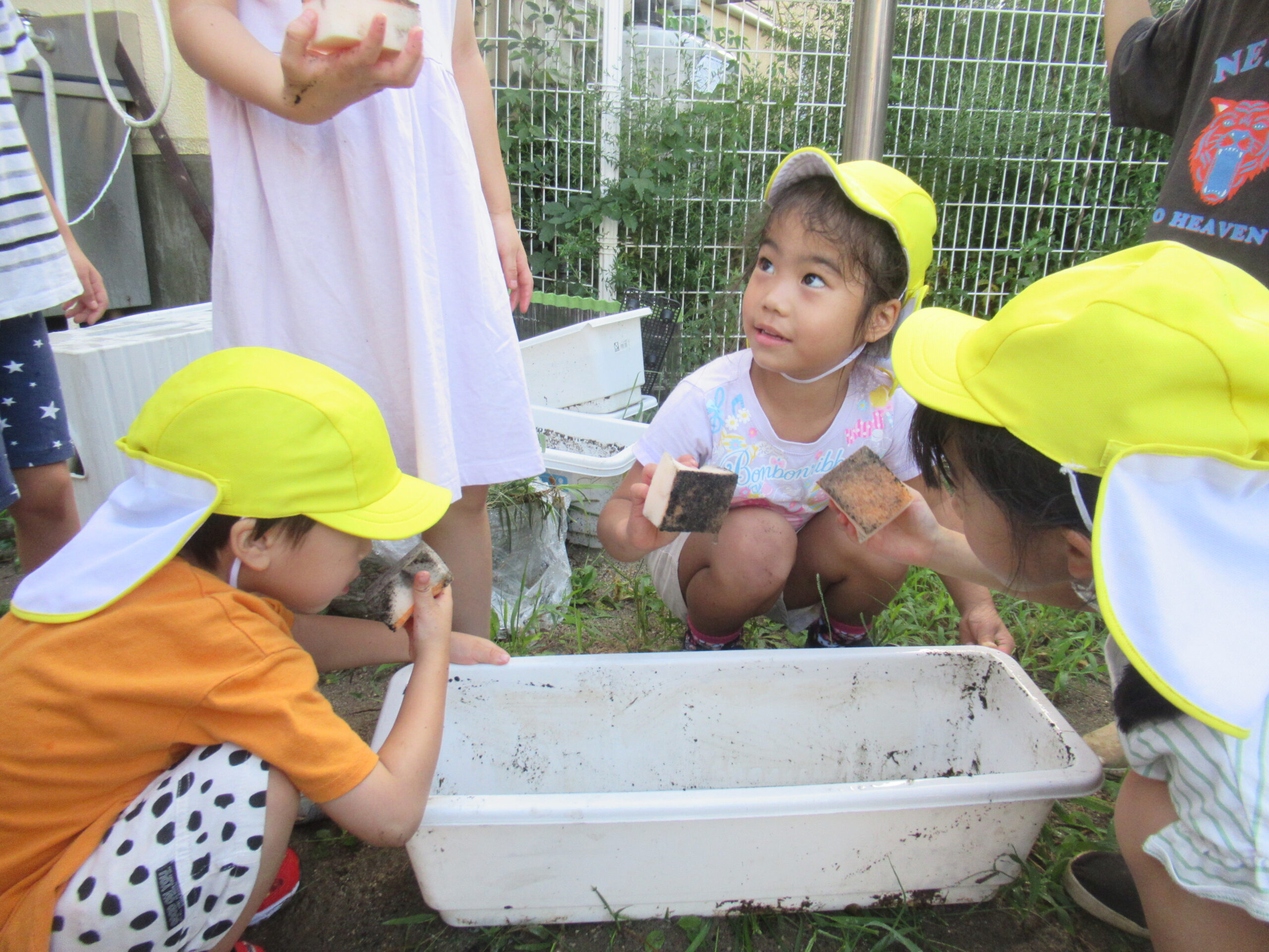 5歳児ゆり組🌼プランターの片付け🌳【ナカノスイミング保育園】