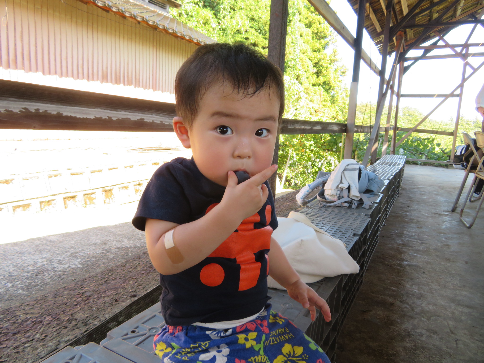 3施設合同イベント　～ぶどう狩り～