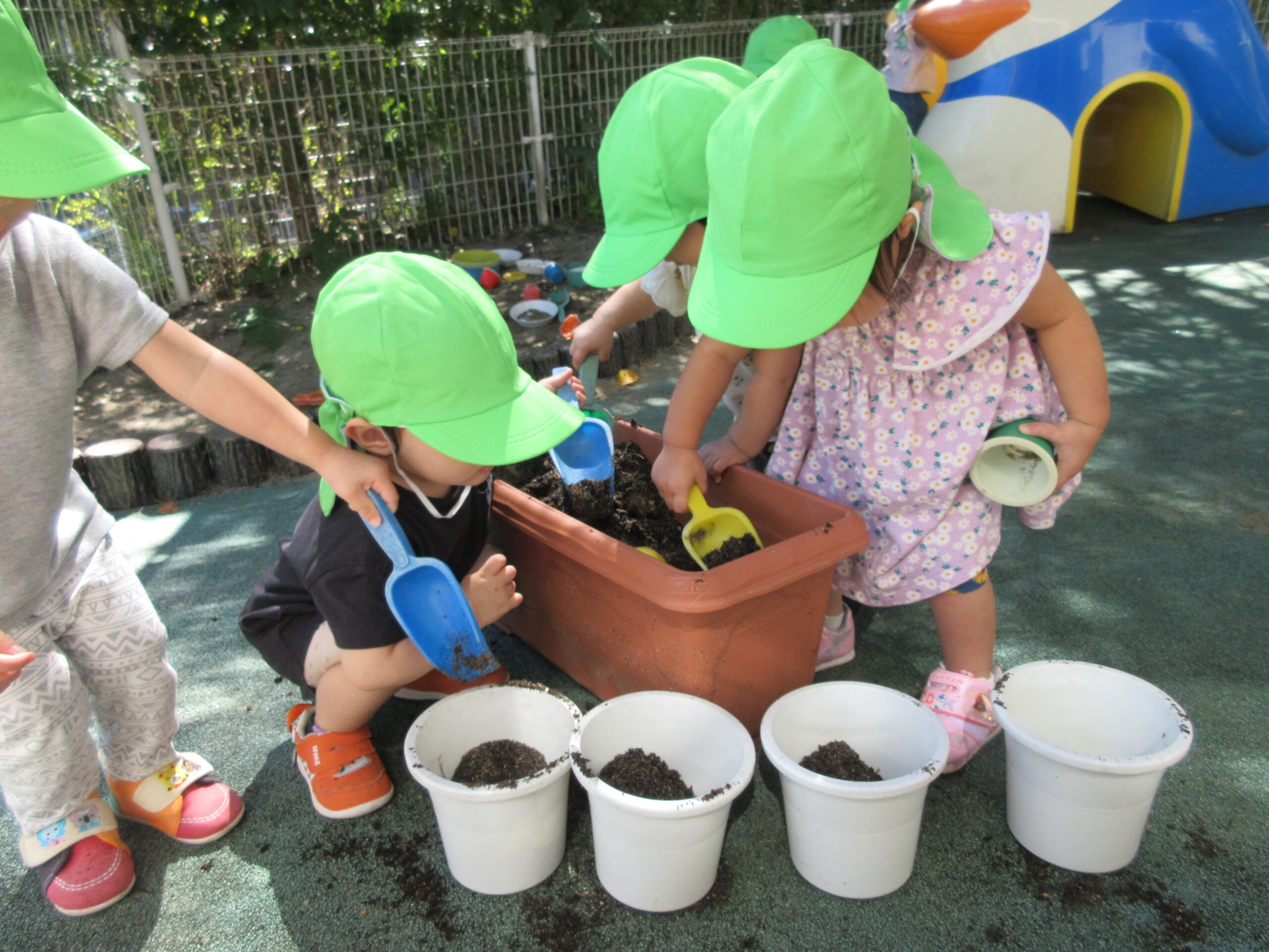 コスモス錦こども園分園
