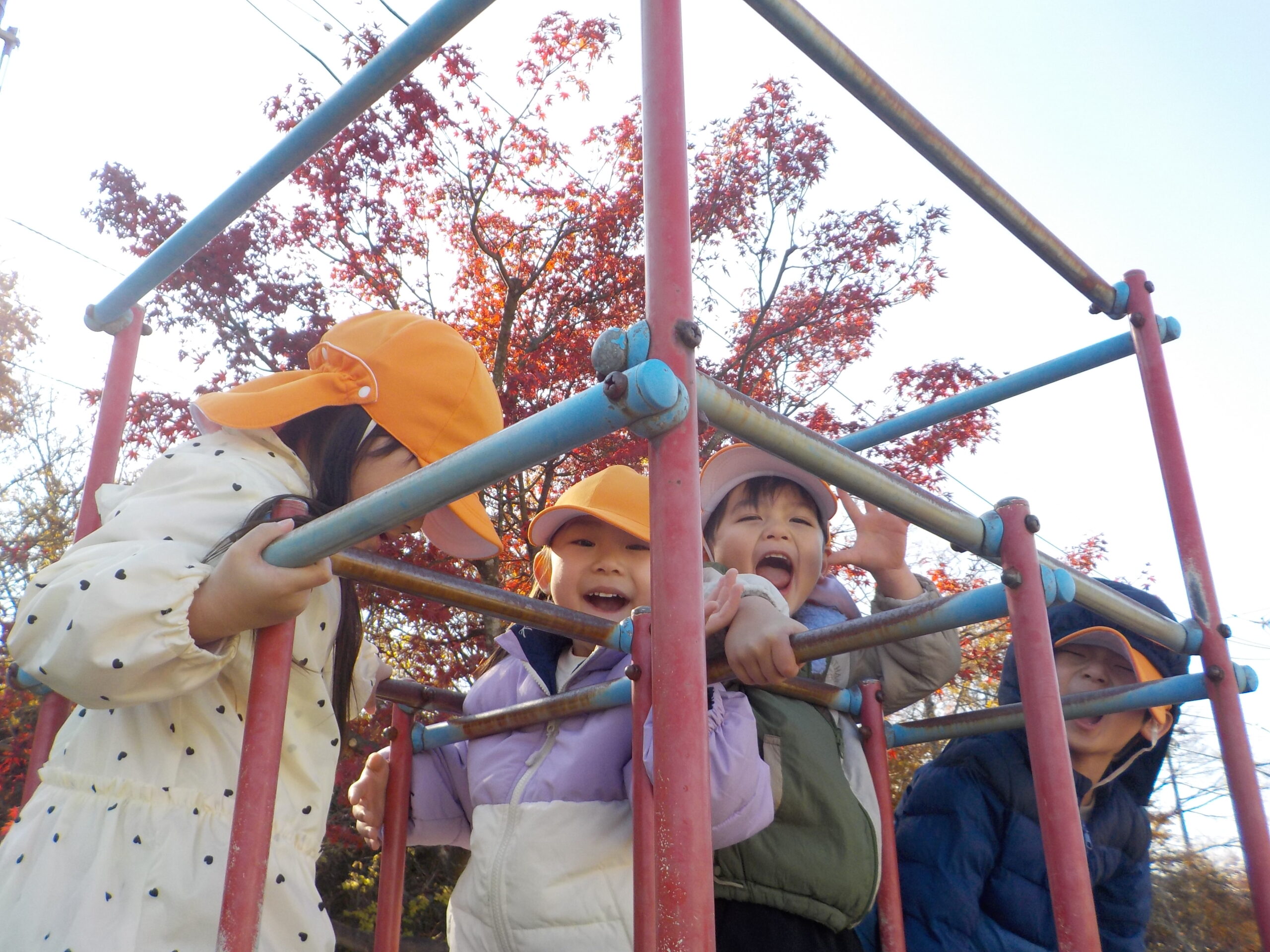 コスモス錦こども園