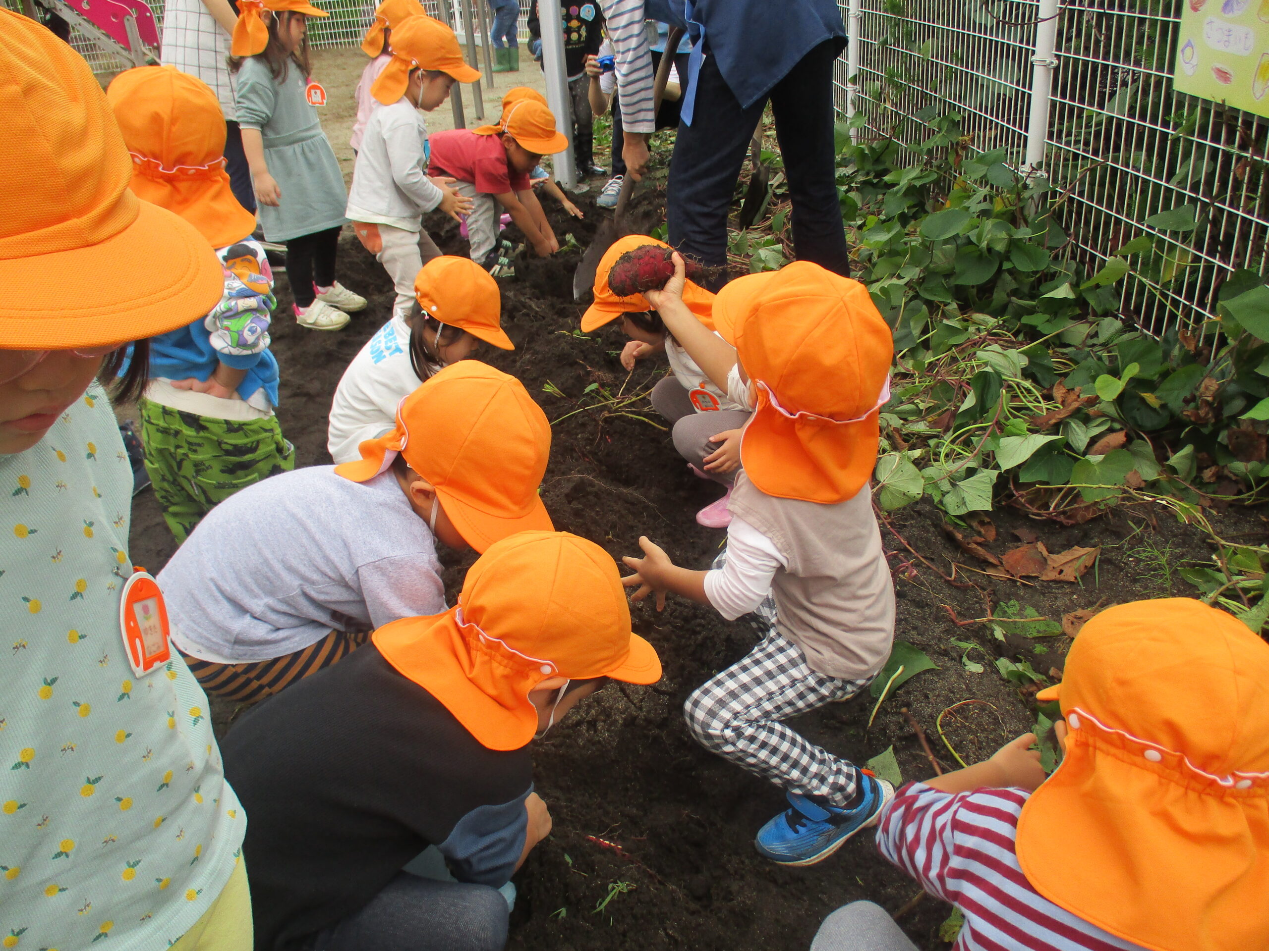 第２コスモス錦保育所