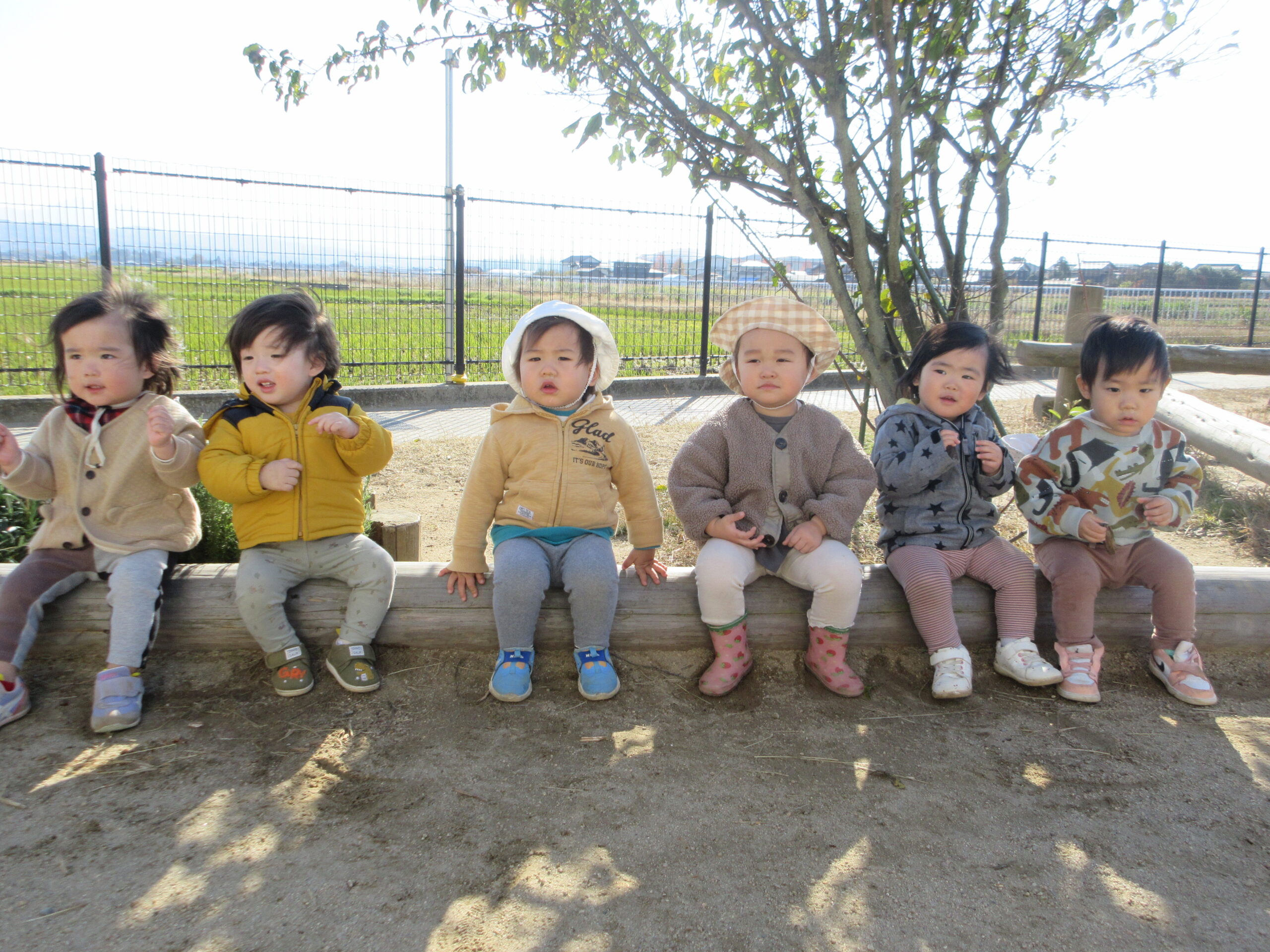 秋をみーつけたっ👀🍂【白根そよ風保育園 つぼみ組】