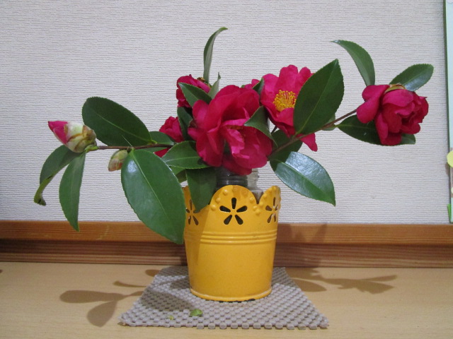 2月号ふわっとだより【地域子育て支援センターふわっと】