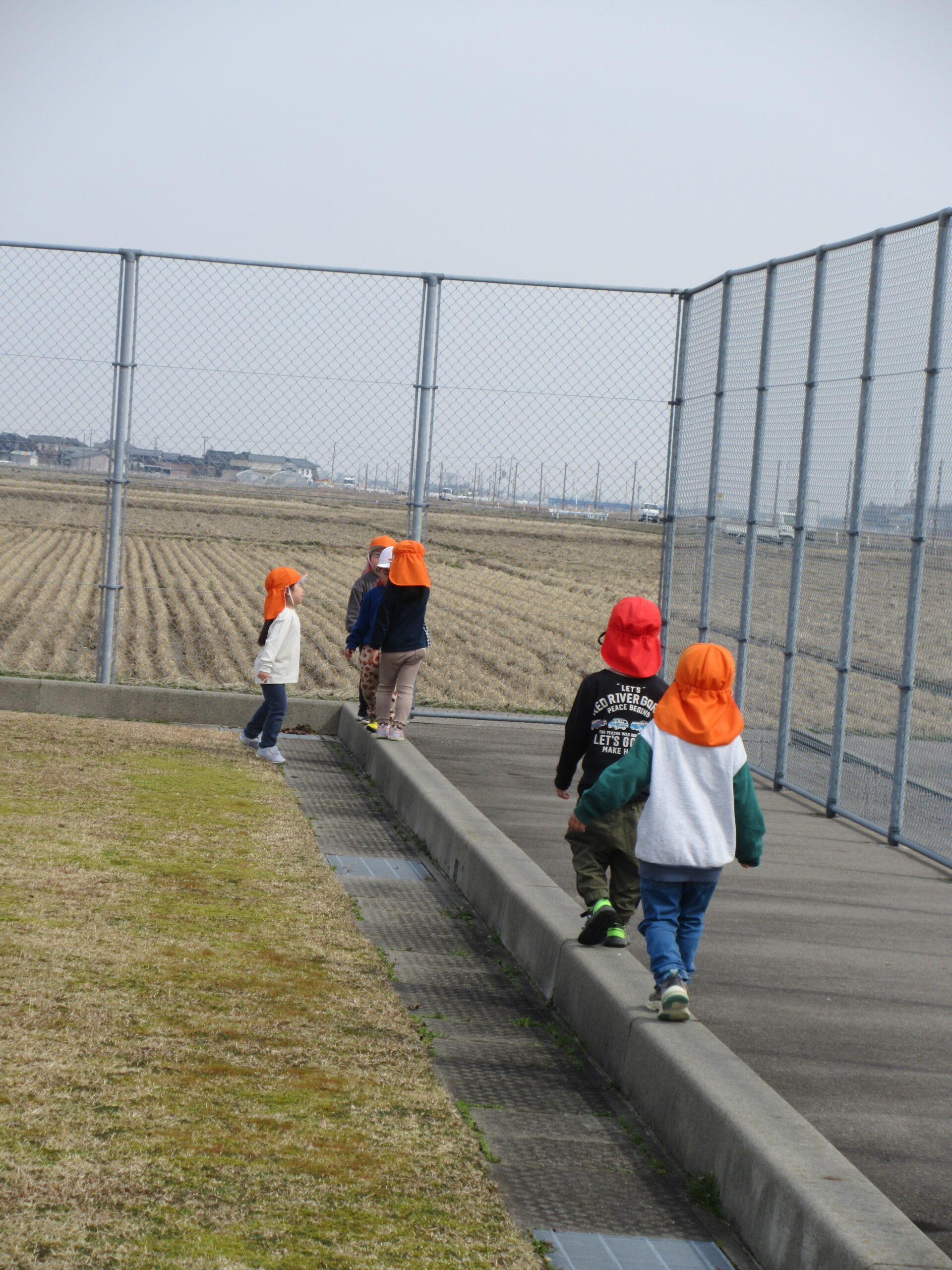 お散歩日和🌞[白根そよ風保育園　にじ組・そら組]