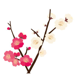 【居宅介護支援事業所なかの】3月弥生