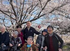 🌸桜のお花見ドライブ🚙🌸【デイサービスセンターYOUなかの】